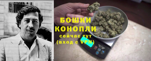 ГАЛЛЮЦИНОГЕННЫЕ ГРИБЫ Вяземский