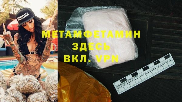 ГАЛЛЮЦИНОГЕННЫЕ ГРИБЫ Вяземский