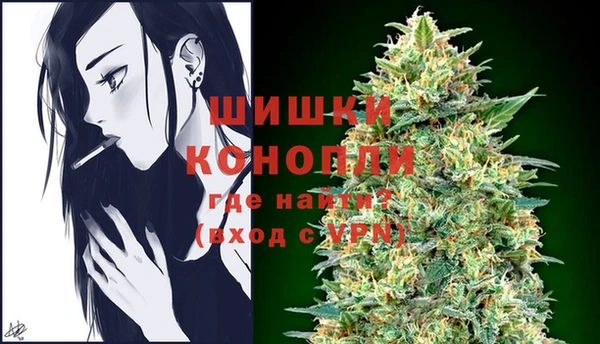 ГАЛЛЮЦИНОГЕННЫЕ ГРИБЫ Вяземский