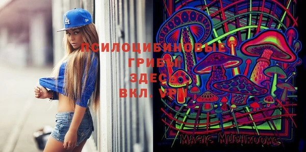 ГАЛЛЮЦИНОГЕННЫЕ ГРИБЫ Вяземский