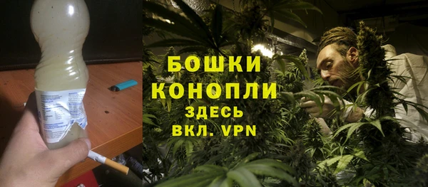ГАЛЛЮЦИНОГЕННЫЕ ГРИБЫ Вяземский