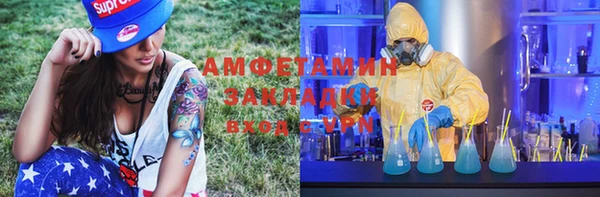 ГАЛЛЮЦИНОГЕННЫЕ ГРИБЫ Вяземский