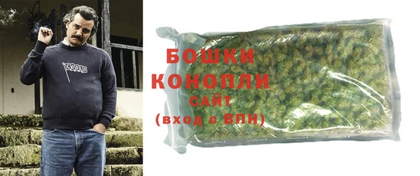 ГАЛЛЮЦИНОГЕННЫЕ ГРИБЫ Вяземский