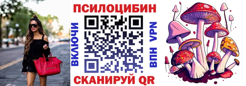 наркотики  Мценск  МЕГА рабочий сайт  Псилоцибиновые грибы Cubensis 